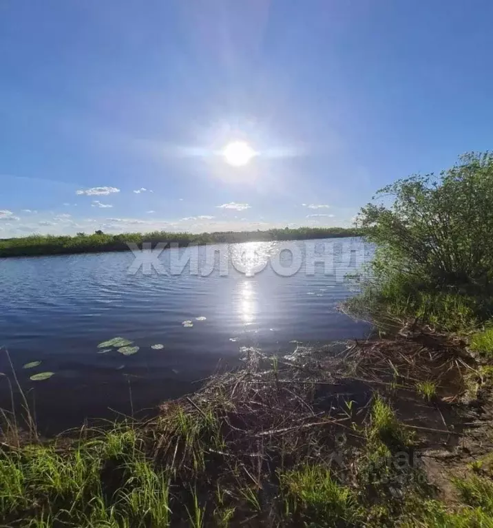 Участок в Новосибирская область, Колыванский район, Инструментальщик-2 ... - Фото 1