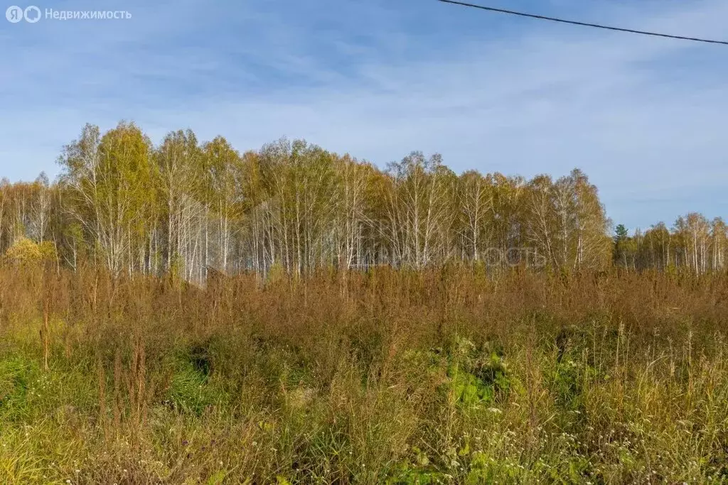 Участок в Тюменская область, Нижнетавдинский муниципальный округ, ... - Фото 1