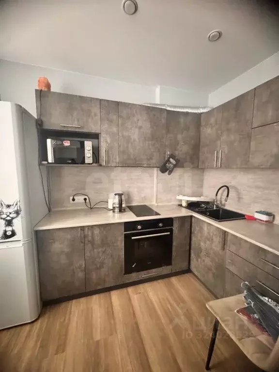 Студия Курганская область, Шадринск ул. Автомобилистов, 46 (23.5 м) - Фото 1