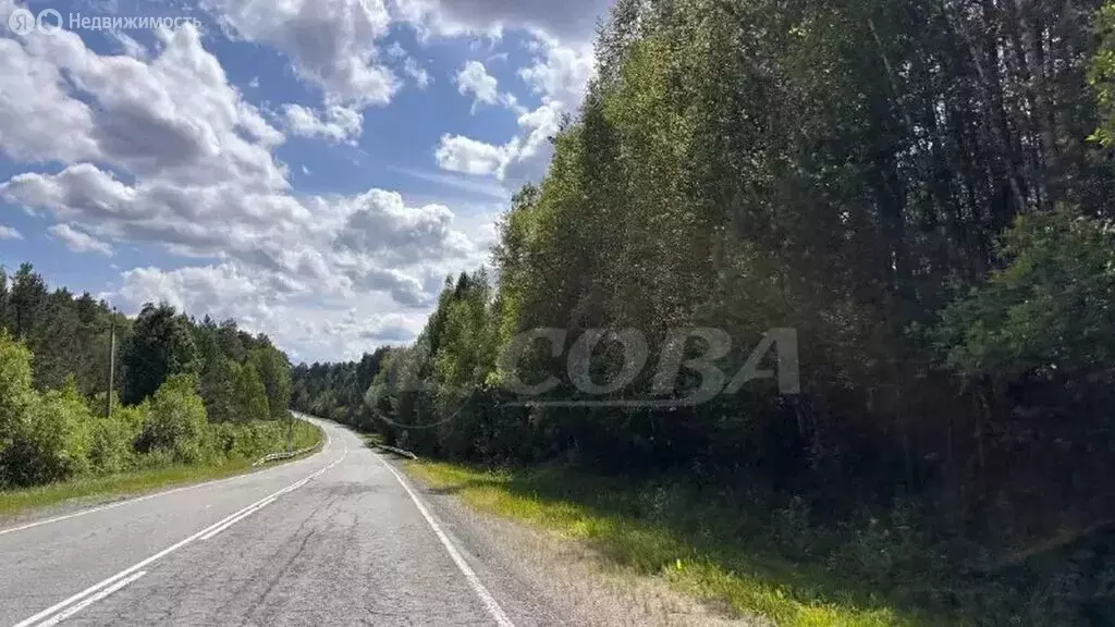 Участок в Тюменская область, Ялуторовский муниципальный округ, ... - Фото 1