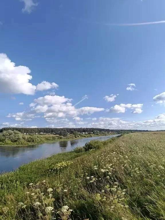 Участок в Владимирская область, Суздальский район, Павловское ... - Фото 1