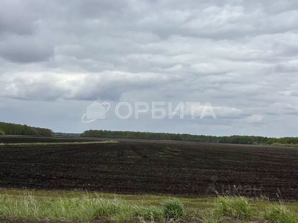 Участок в Тюменская область, Тюменский район, Кулаковское ... - Фото 0