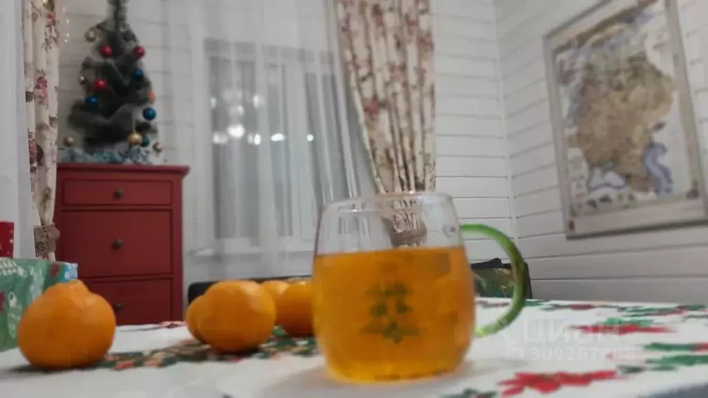 Дом в Нижегородская область, Дивеевский муниципальный округ, д. Маевка ... - Фото 2