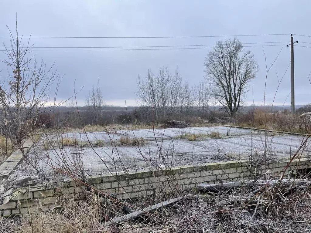 Участок в Нижегородская область, Володарск ул. Горького, 101А (7.9 ... - Фото 0