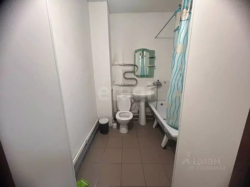 Студия Алтай, Майминский район, с. Майма пер. Лесной (33.8 м) - Фото 2