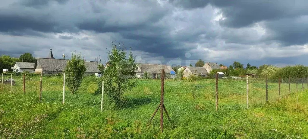 Участок в Калининградская область, Черняховский муниципальный округ, ... - Фото 1