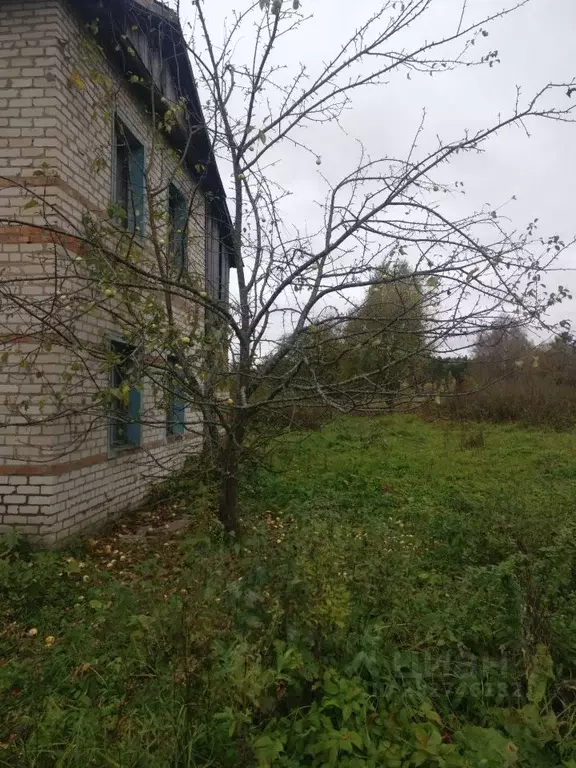 Участок в Калужская область, Козельский муниципальный округ, Бурнашево ... - Фото 2