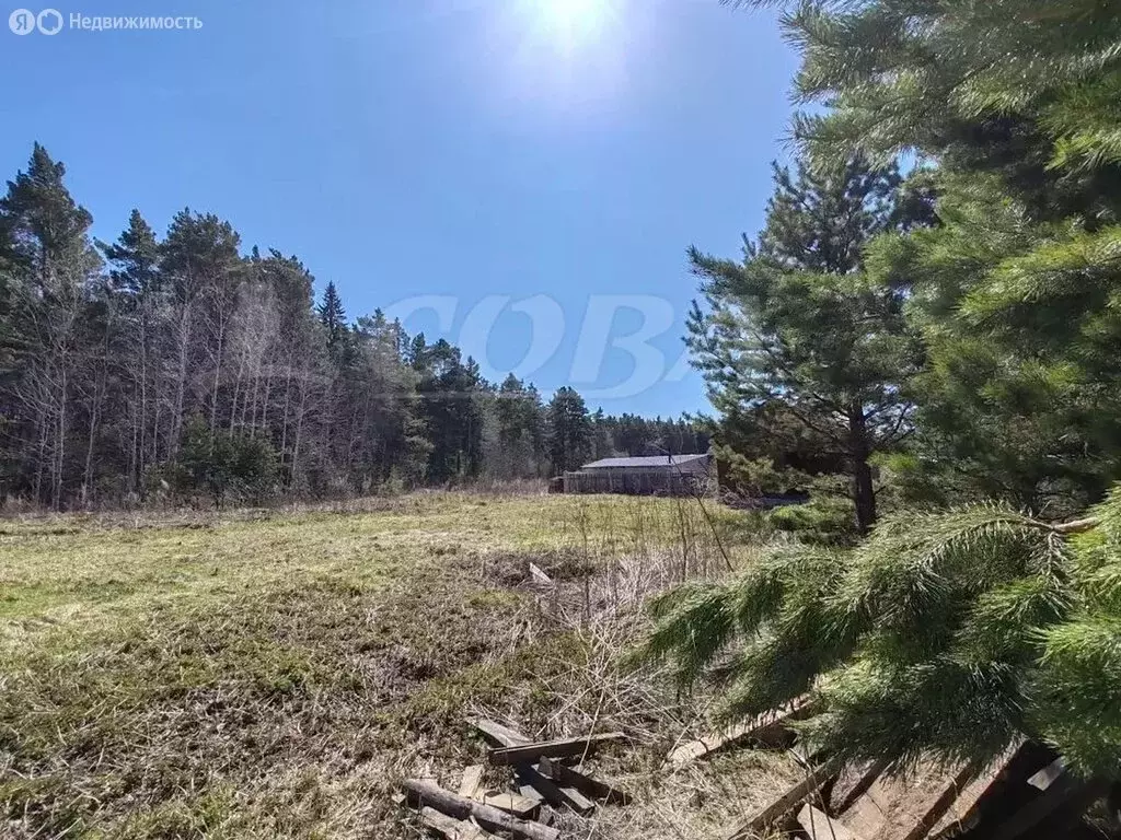 Дом в Тюменский муниципальный округ, село Гусево (34.5 м) - Фото 1