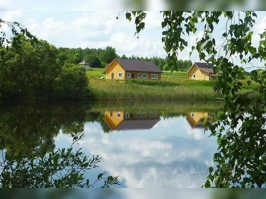 Участок в Смоленская область, Рославльский муниципальный округ, д. ... - Фото 1