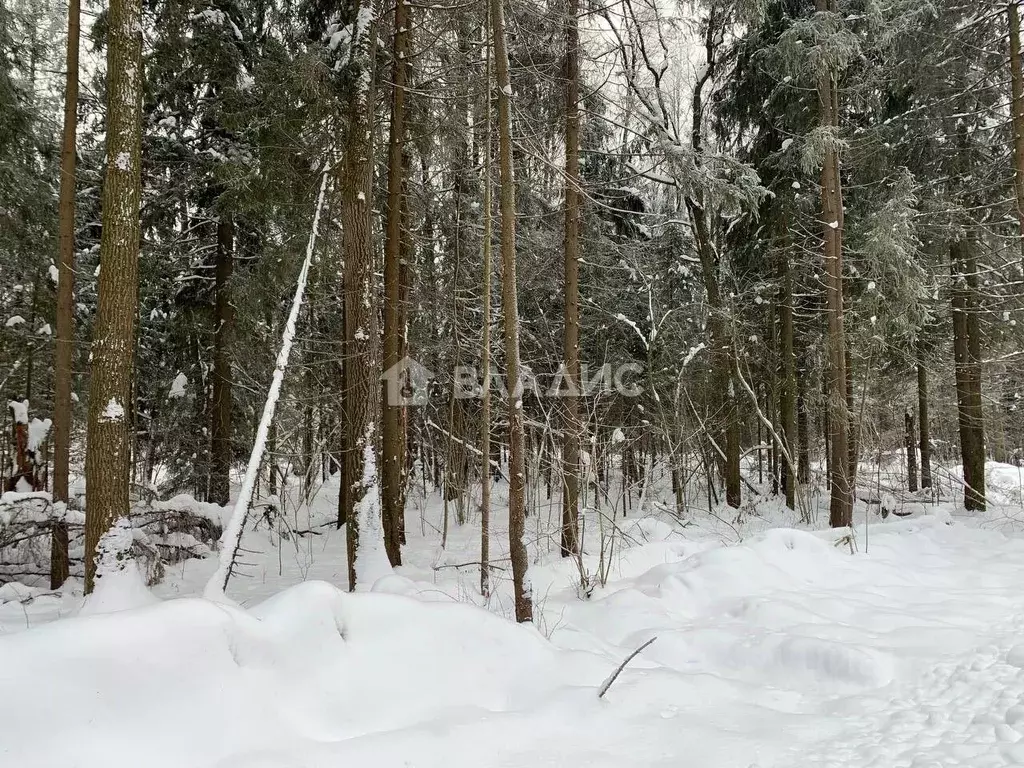 Участок в Московская область, Дмитровский городской округ, д. Сазонки, ... - Фото 0