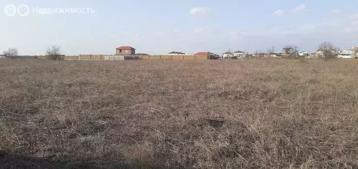 Участок в Сакский район, Молочненское сельское поселение, село Витино ... - Фото 2