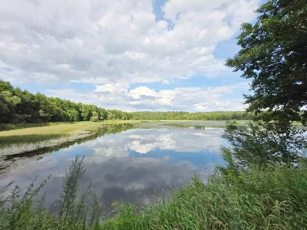 Участок в Калужская область, Дзержинский муниципальный округ, Барсуки ... - Фото 2