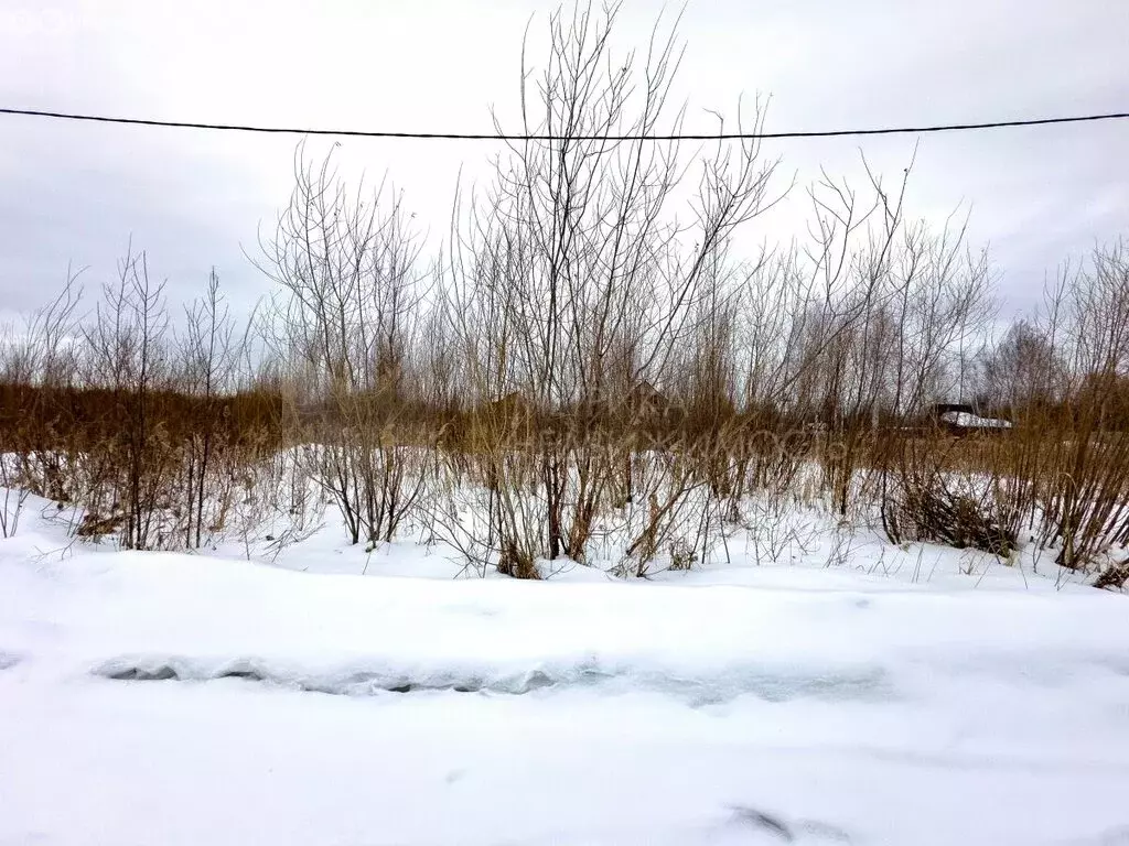 Участок в Нижнетавдинский район, село Тюнево (11 м) - Фото 1