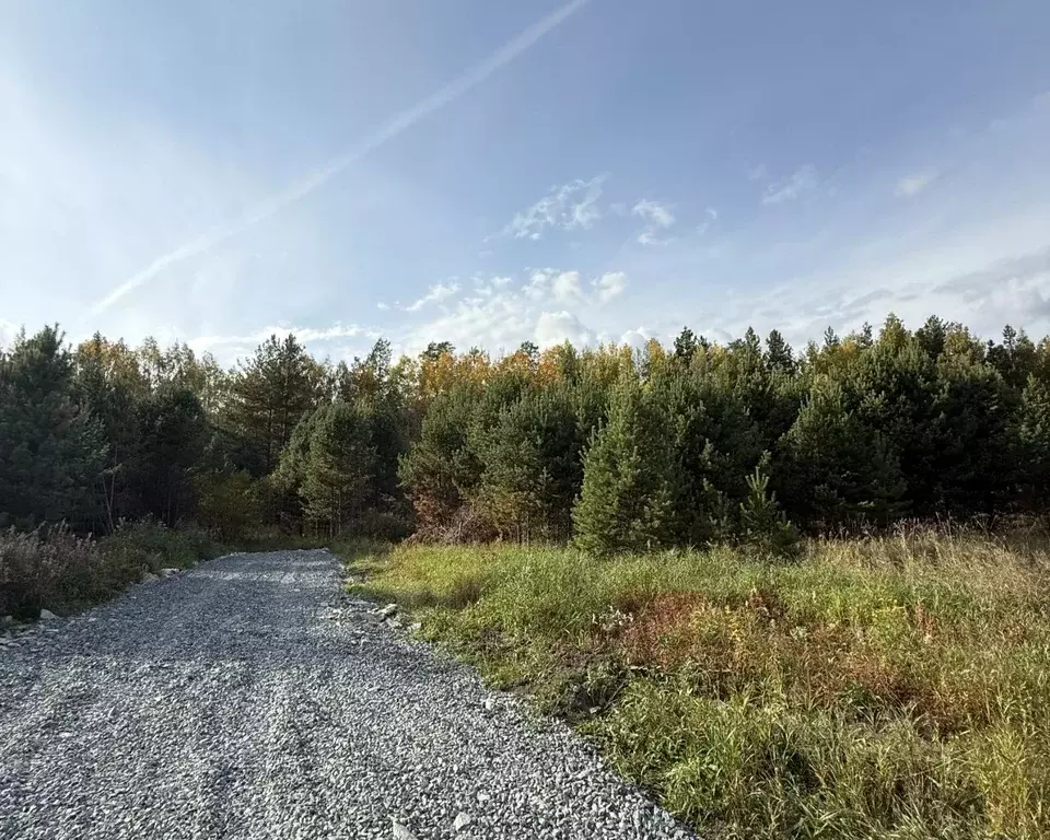 Участок в Свердловская область, Полевской муниципальный округ, с. ... - Фото 1