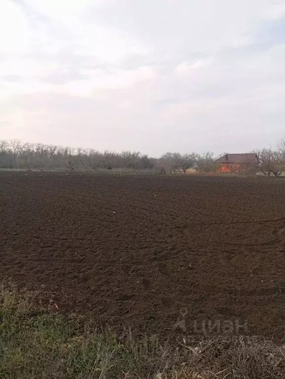 Участок в Ростовская область, Каменский район, Старостаничное с/пос, ... - Фото 2