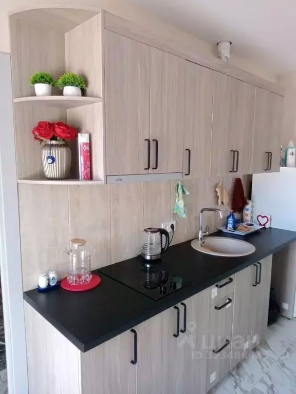 Студия Москва Мосрентген поселение, д. Дудкино, Круиз СНТ, 239 (22.0 ... - Фото 1