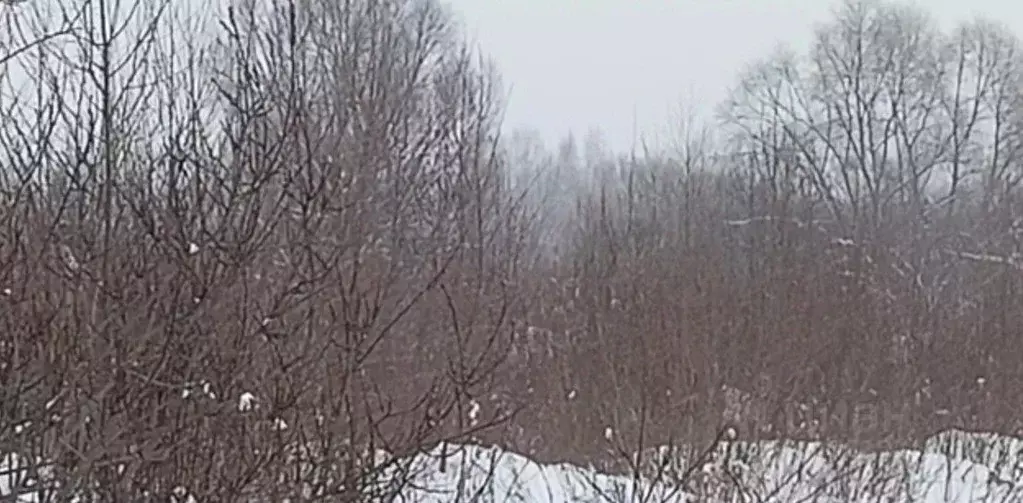 Участок в Московская область, Дмитров  (12.13 сот.) - Фото 1