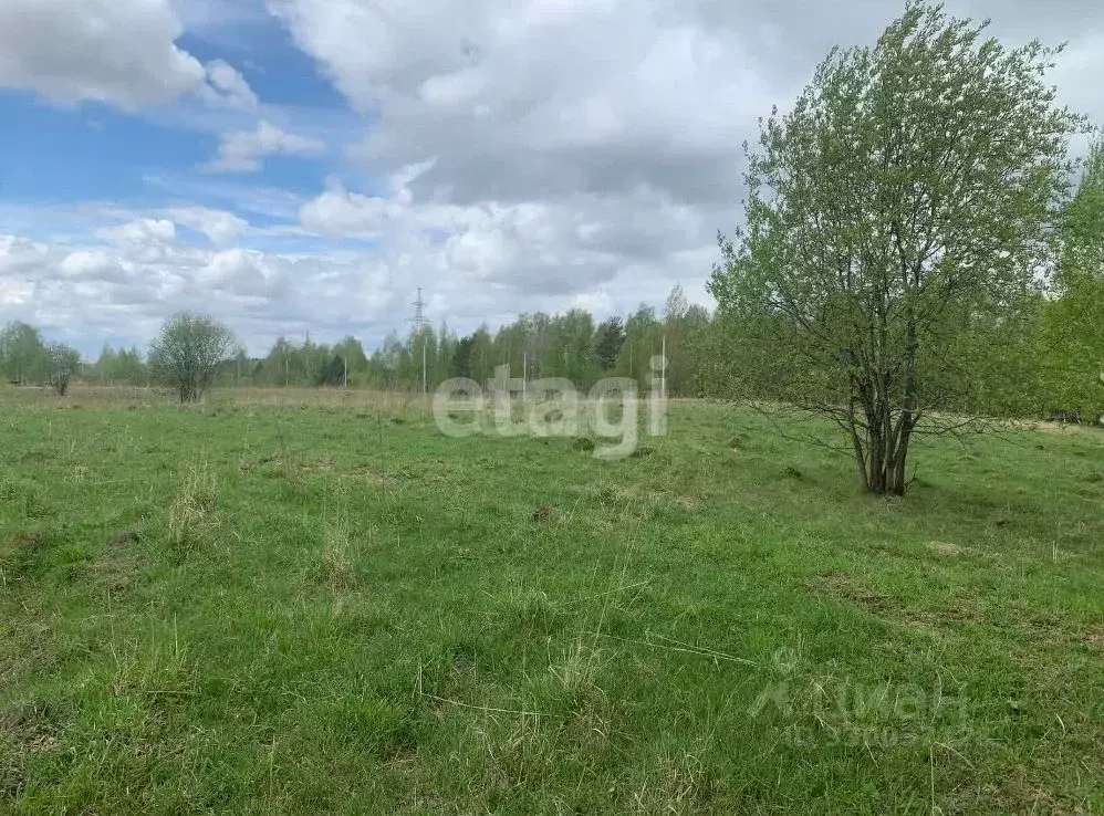 Участок в Томская область, Томск Каменка мкр, ул. Тихая (15.0 сот.) - Фото 0