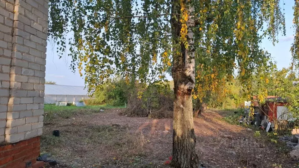 Участок в Рязанская область, Спасский муниципальный округ, с. ... - Фото 1