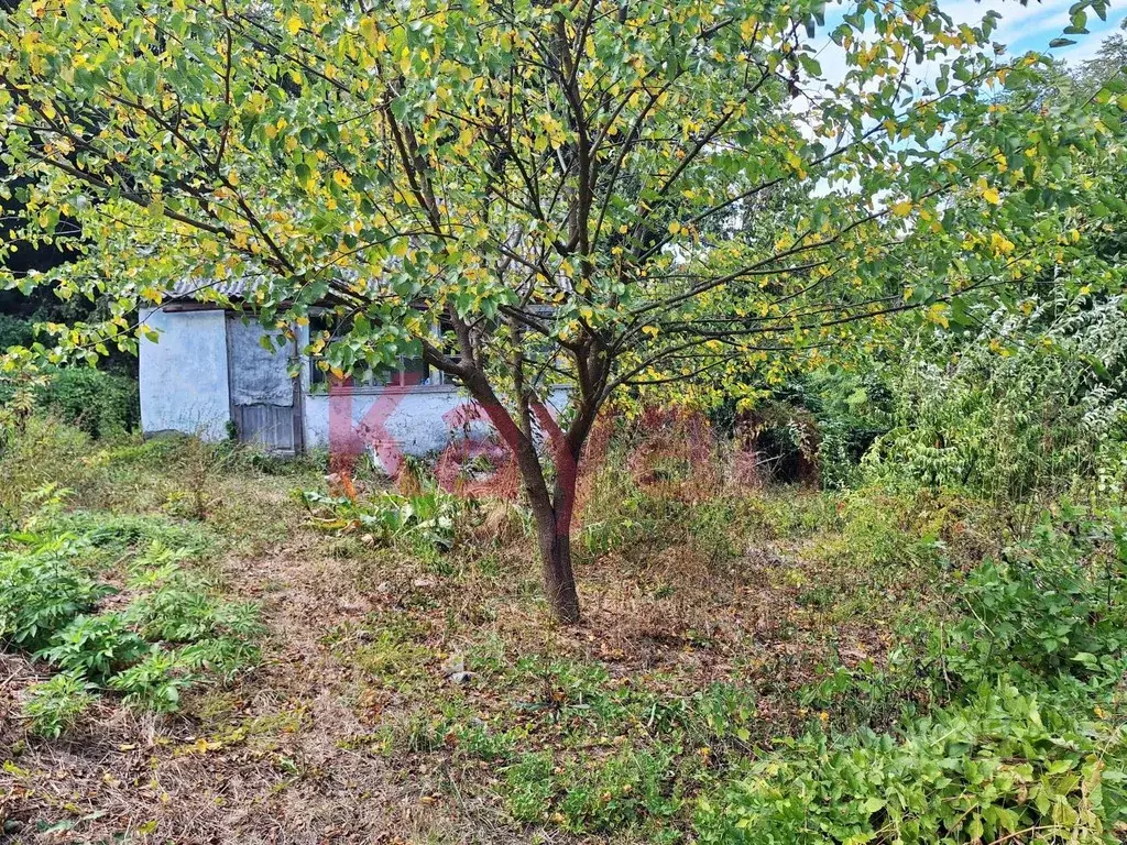 Участок в Краснодарский край, Геленджик городской округ, с. ... - Фото 1