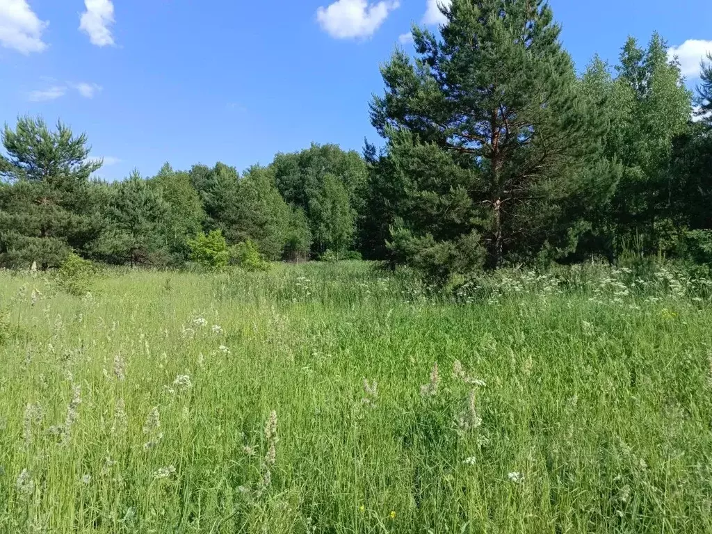 Участок в Московская область, Кашира городской округ, д. Малеево  ... - Фото 1