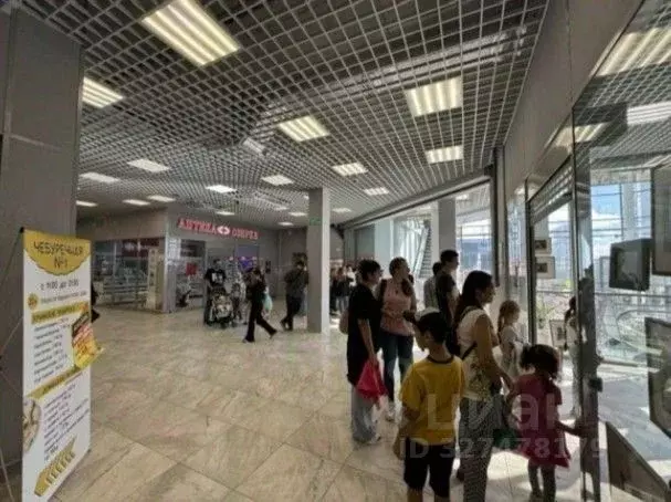 Помещение свободного назначения в Ленинградская область, Тельмана ... - Фото 2