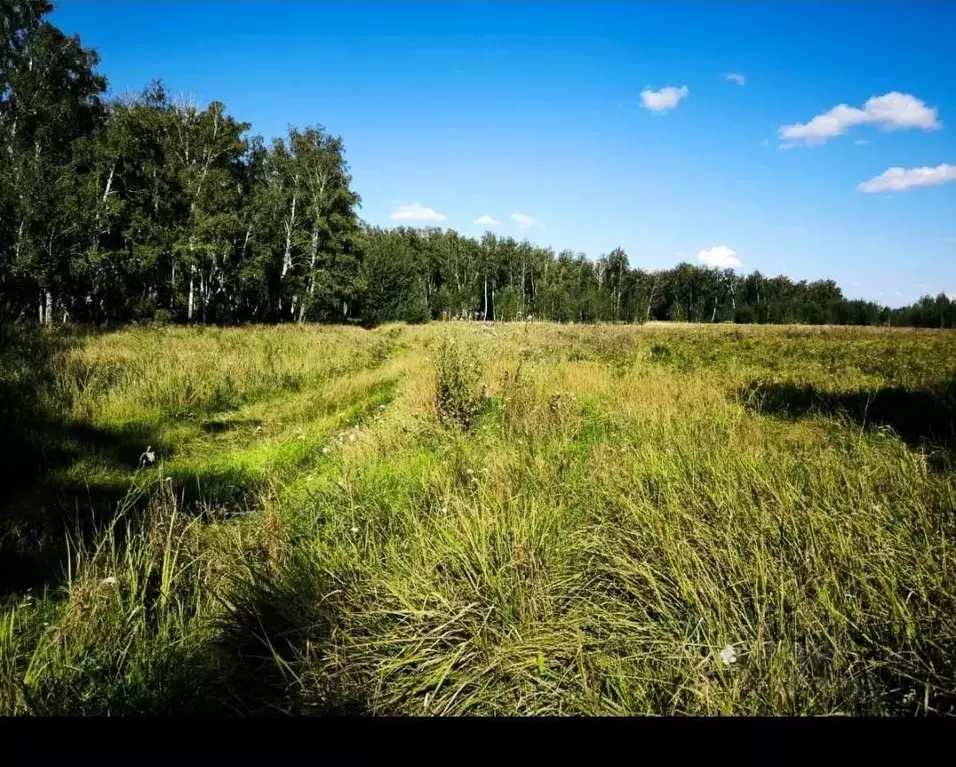 Участок в Омская область, Омский район, с. Усть-Заостровка Береговая ... - Фото 1