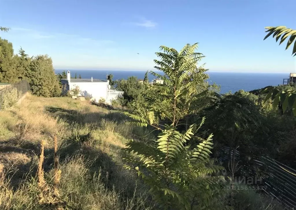 Участок в Крым, Ялта ул. Ореховая, 39 (10.0 сот.) - Фото 1