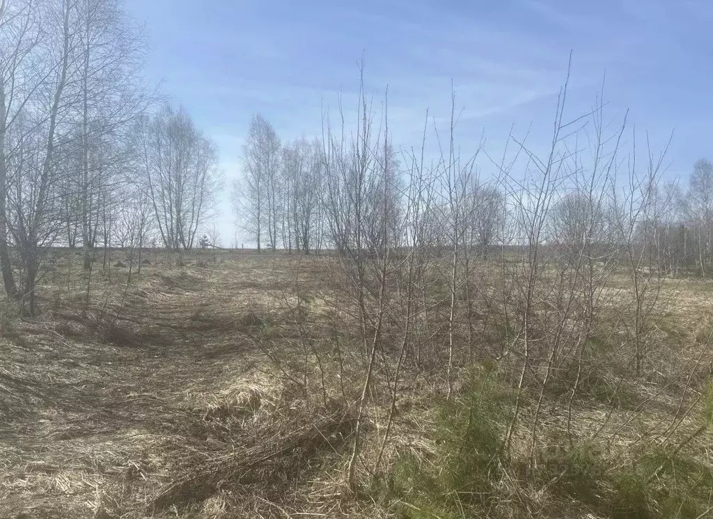 Участок в Московская область, Ступино городской округ, д. Алешково ул. ... - Фото 2