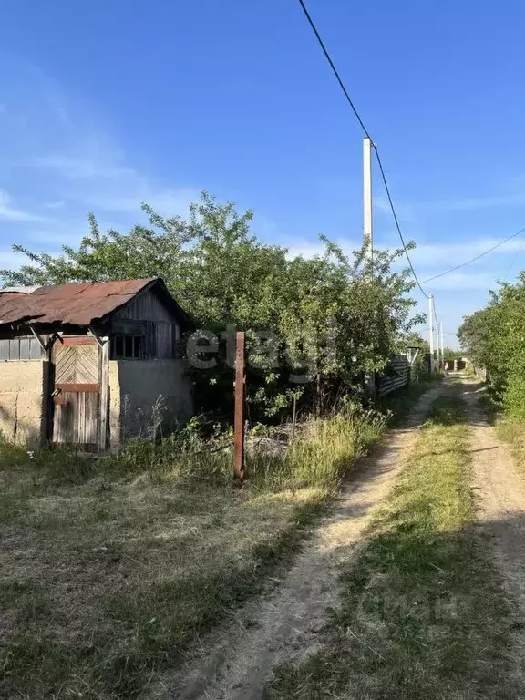 Участок в Белгородская область, Белгородский район, Беломестненское ... - Фото 1