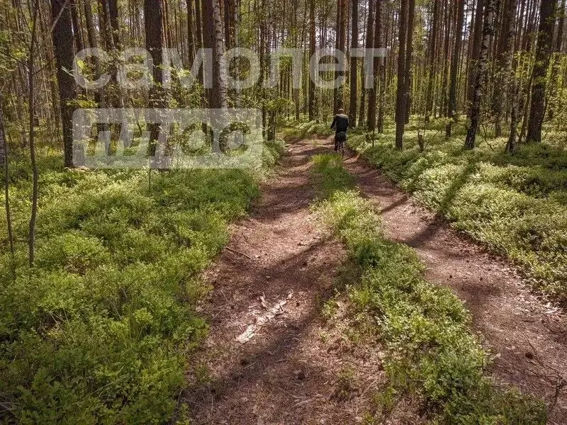 Участок в Забайкальский край, Читинский район, Наука-120 СНТ  (19.32 ... - Фото 1