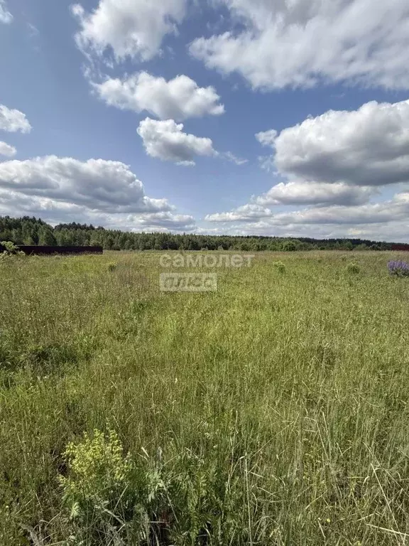 Участок в Московская область, Орехово-Зуевский городской округ, д. ... - Фото 0