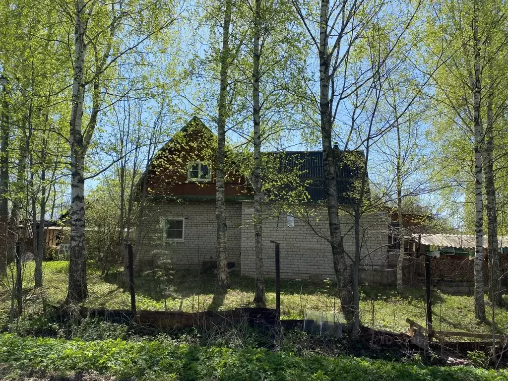 Дом в Новгородская область, Шимский муниципальный район, Подгощское ... - Фото 1
