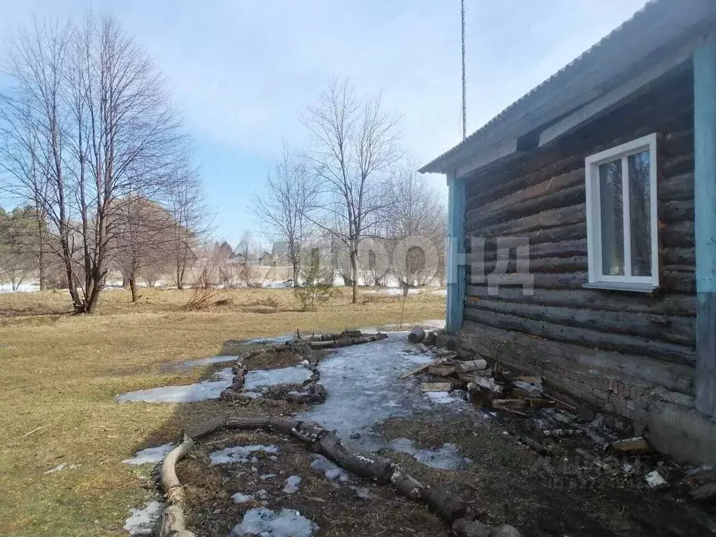 Дом в Новосибирская область, Колыванский район, д. Красный Яр ... - Фото 2