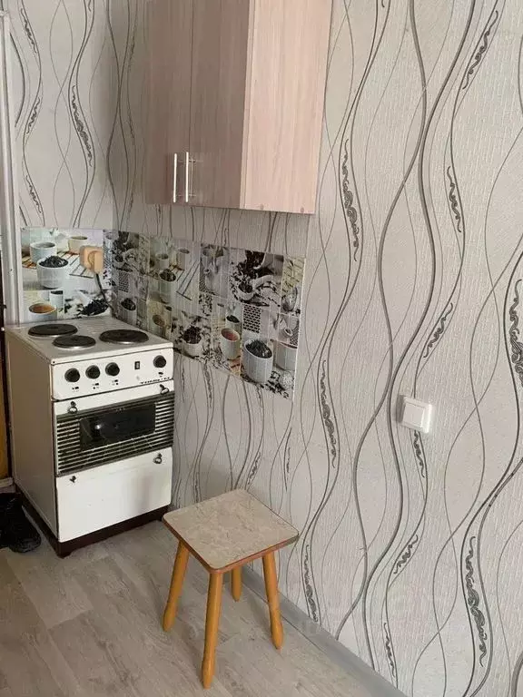 Студия Кемеровская область, Кемерово Октябрьский просп., 87 (17.0 м) - Фото 2