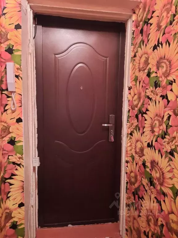 1-к кв. Самарская область, Тольятти Молодежный бул., 25 (20.0 м) - Фото 1