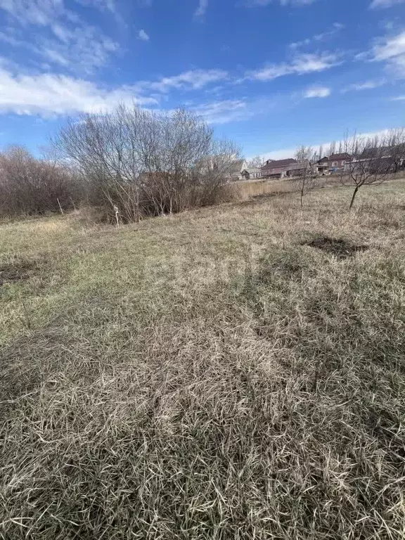 Участок в Воронежская область, Новоусманский район, с. Бабяково ... - Фото 1