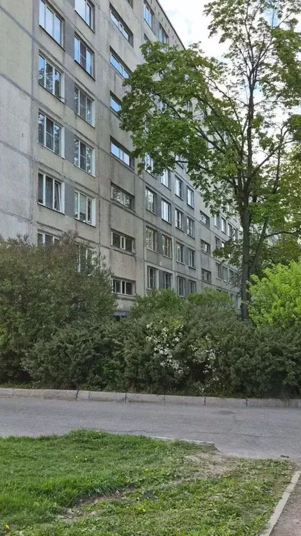 1-к кв. Санкт-Петербург Белградская ул., 28К1 (30.0 м) - Фото 1