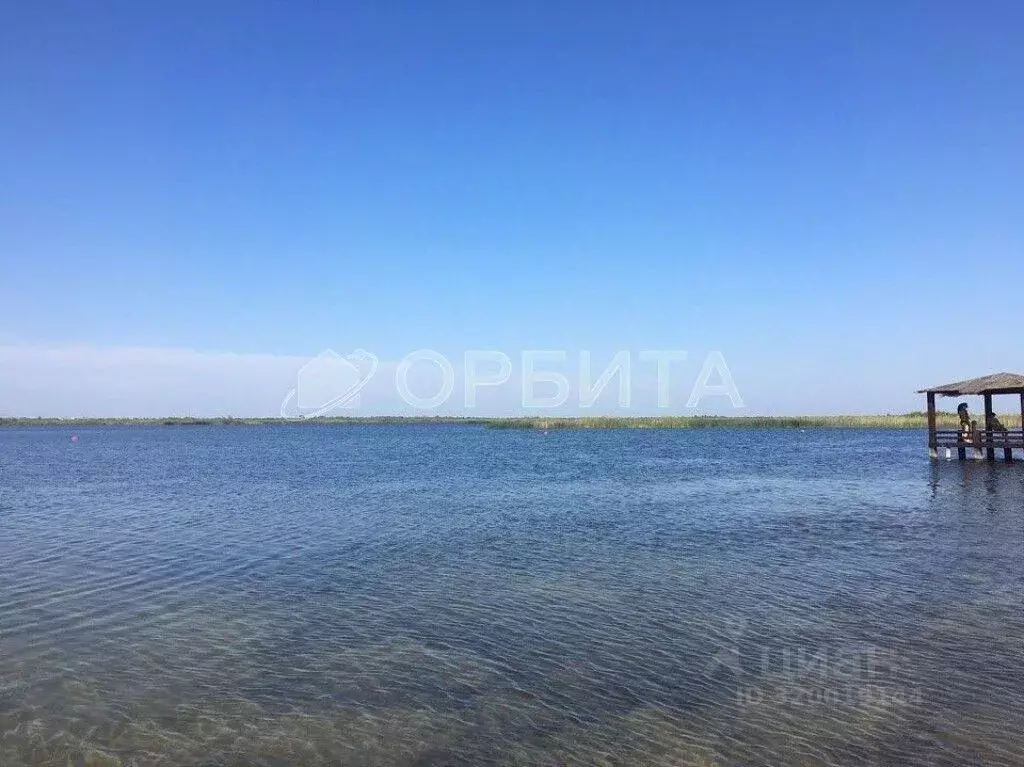 Участок в Тюменская область, Тюмень Садовое товарищество Липовый ... - Фото 1