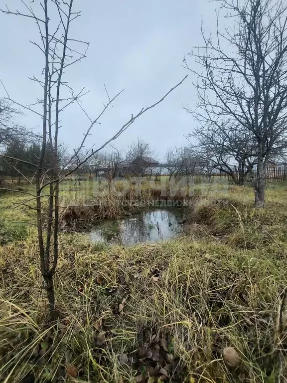 Участок в Нижегородская область, Арзамас городской округ, с. Морозовка ... - Фото 1