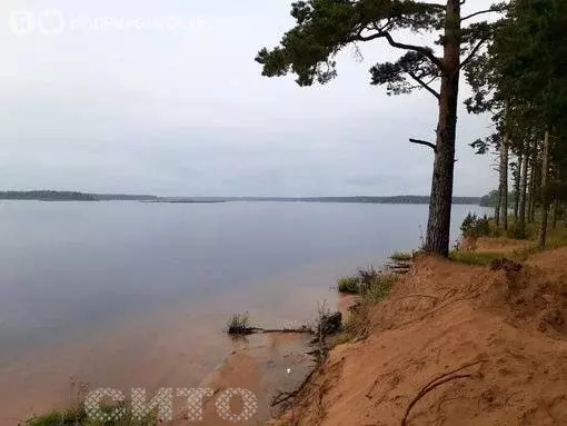 Участок в Череповецкий район, сельское поселение Уломское, деревня ... - Фото 0