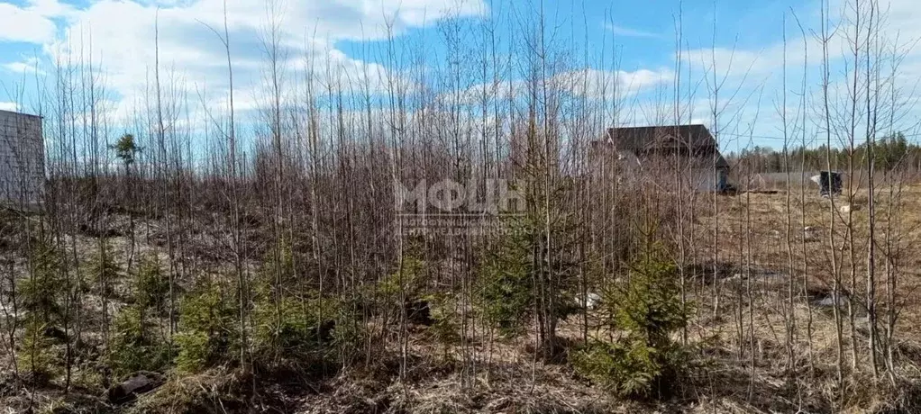 Участок в Карелия, Петрозаводск ул. Солеварная (11.0 сот.) - Фото 1