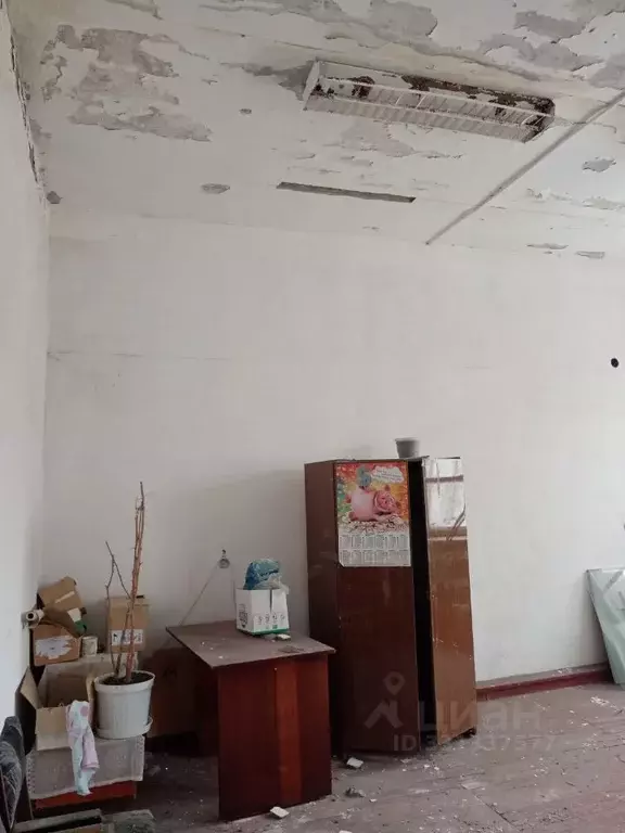 Помещение свободного назначения в Омская область, Кормиловский район, ... - Фото 1