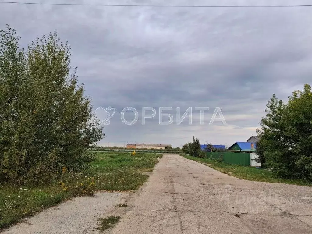 Участок в Тюменская область, Тюменский муниципальный округ, с. Ембаево ... - Фото 1