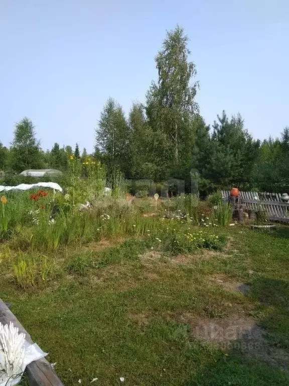 Участок в Ханты-Мансийский АО, Ханты-Мансийск Поплавок СОТ, 26 (6.0 ... - Фото 1