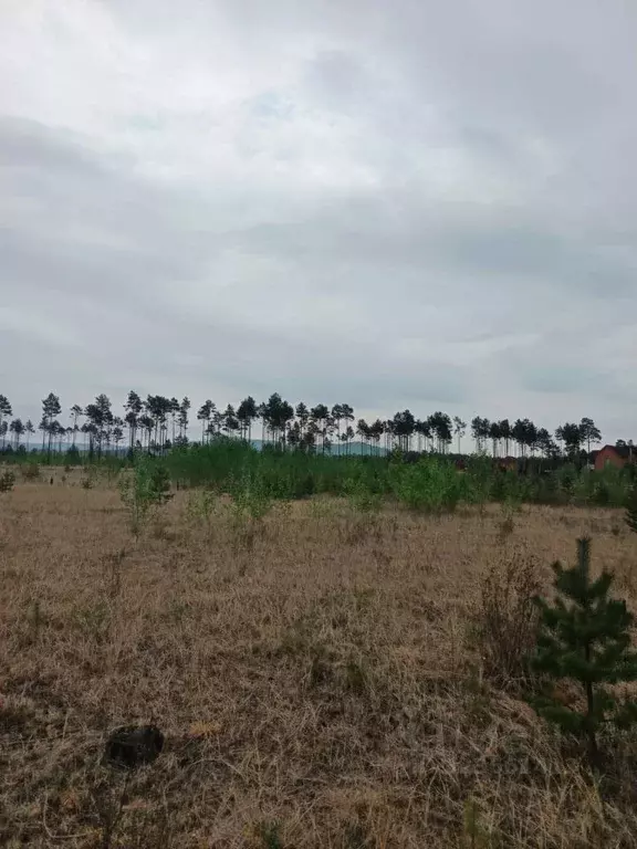 Участок в Забайкальский край, Читинский район, Смоленское с/пос  (50.0 ... - Фото 1