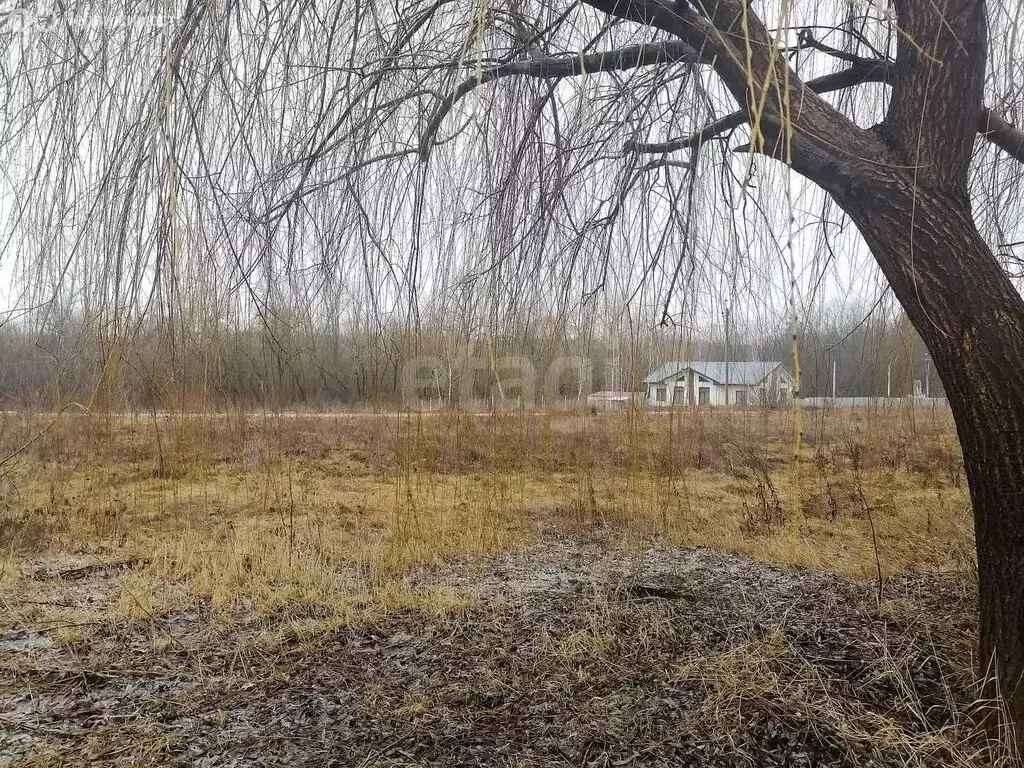 Участок в Новый Оскол, Новосёловская улица (11.5 м) - Фото 1