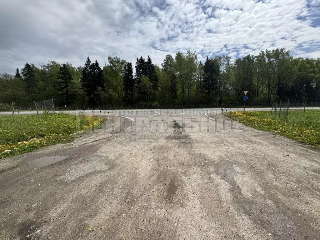 Участок в Смоленская область, Смоленский муниципальный округ, ... - Фото 1