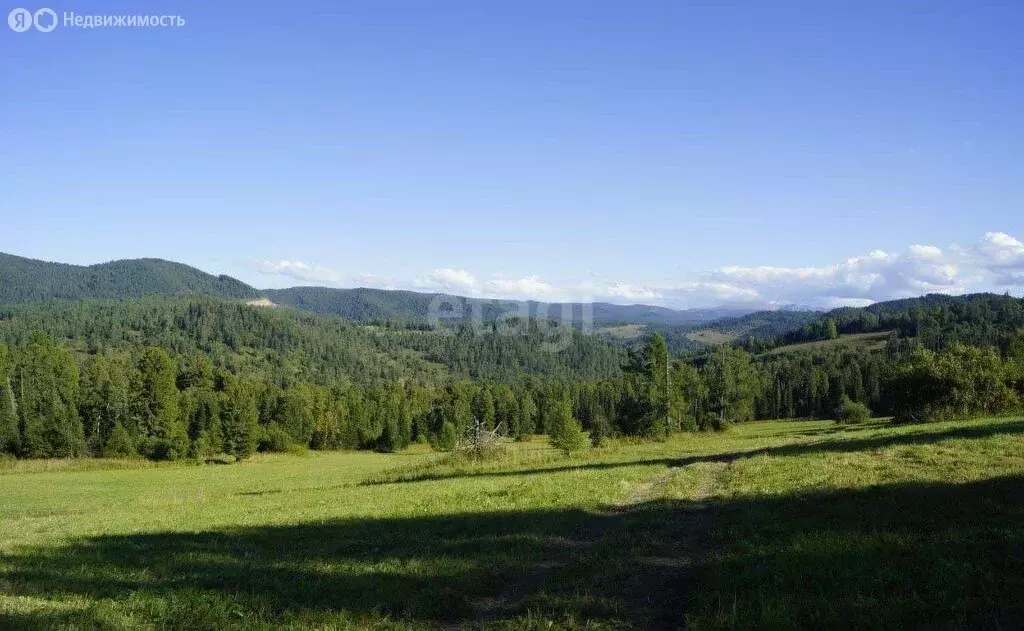 Участок в Шебалинский район, село Шебалино (130 м) - Фото 0