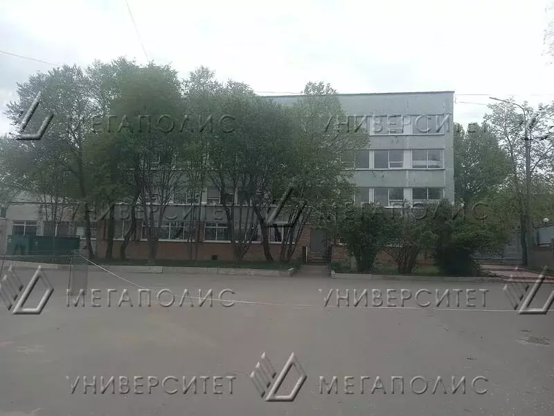 Офис (61 м) - Фото 1